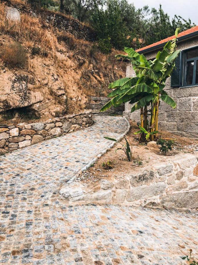 Barro Quinta Do Fojo Valonguinho, Barro住宿加早餐旅馆 外观 照片